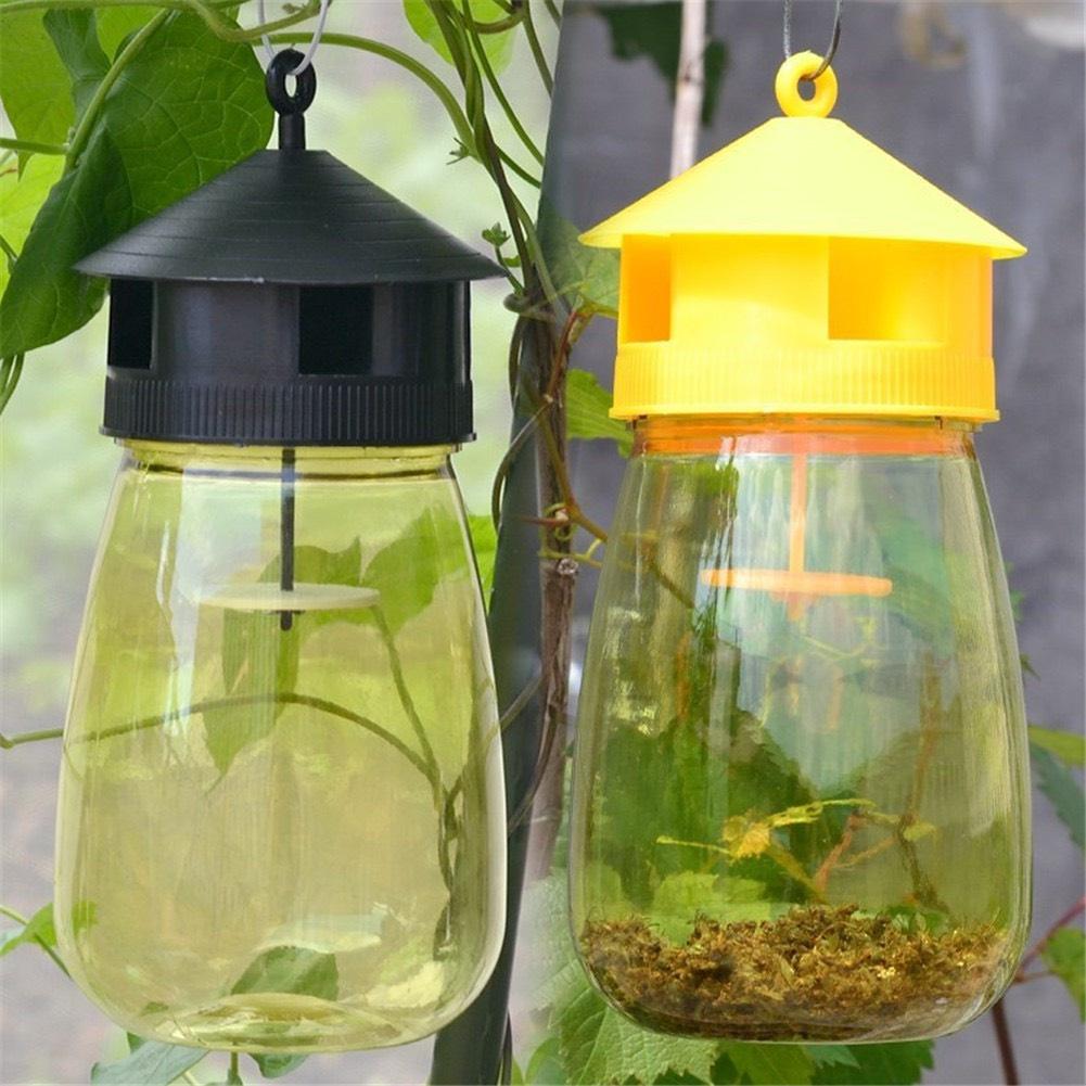 BẪY RUỒI VÀNG HIỆU QUẢ CAO + ỐNG DẪN DỤ , DIỆT TRỪ RUỒI VÀNG GÂY HẠI