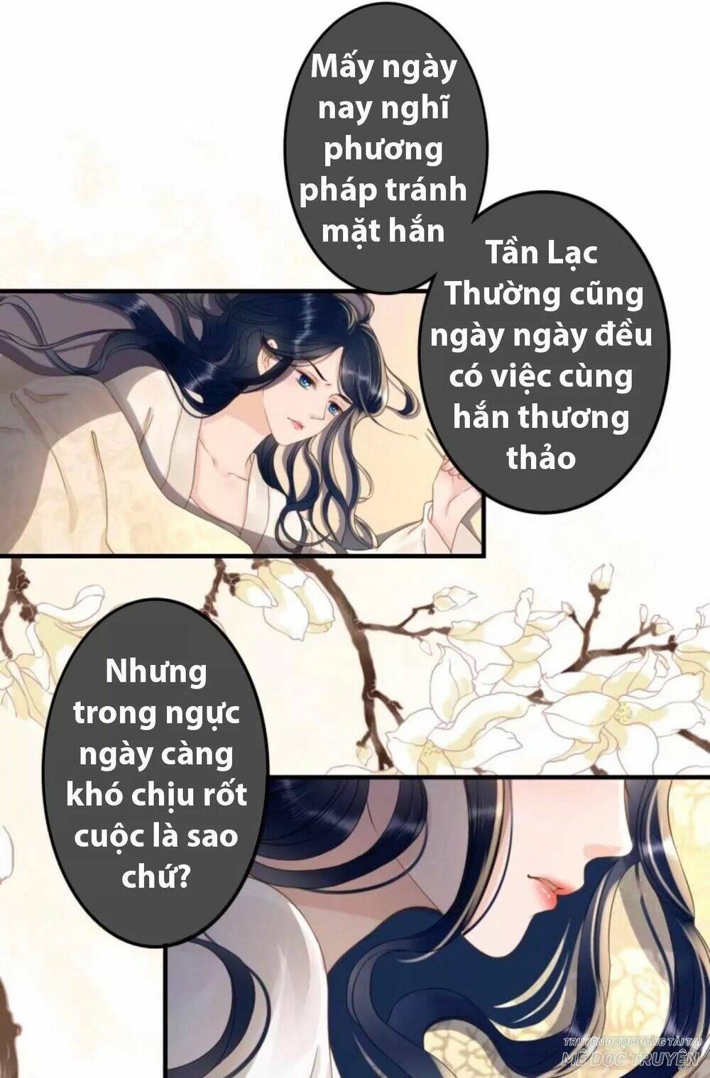 sủng phi của vương chapter 91 6