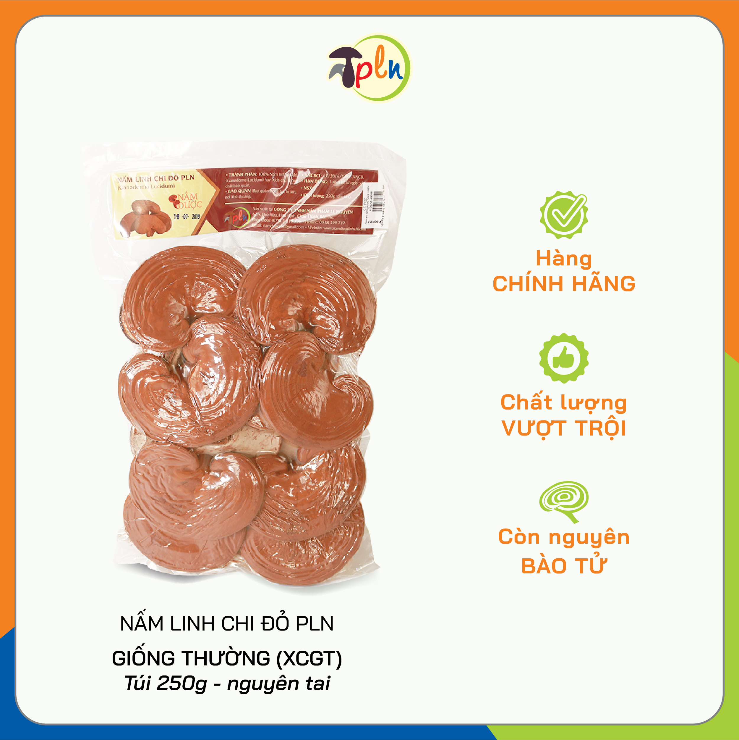 NẤM LINH CHI ĐỎ PLN - Nguyên tai. Túi 250g - Xích chi