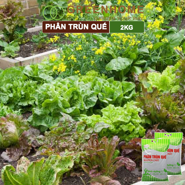 Phân Trùn Quế Greenhome, Lavamix, Bao 2kg, Nguyên Chất, Bổ Sung Dinh Dưỡng, Cải Tạo Đất, Hữu Cơ Tiện Lợi, Bón Rau, Hoa