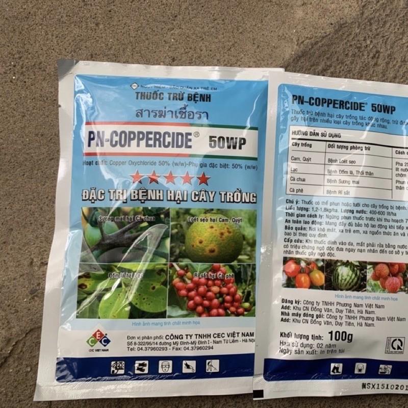 Chữa đào rỉ mủ, rỉ sắt, sương mai PN Coppercide 50WP