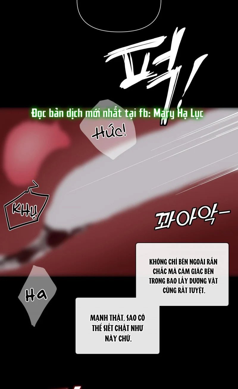 plaything - món đồ chơi của đại công tước chapter 35.5 10