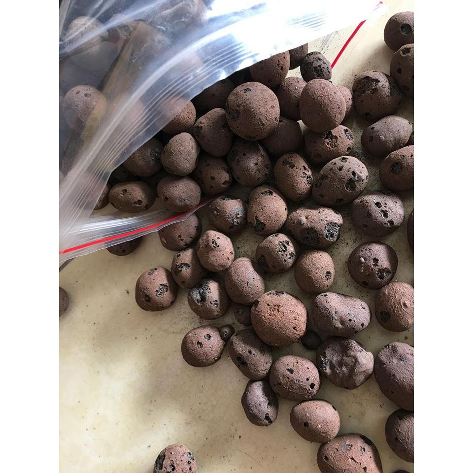 Sỏi nhẹ, đất nung trồng cây 1kg