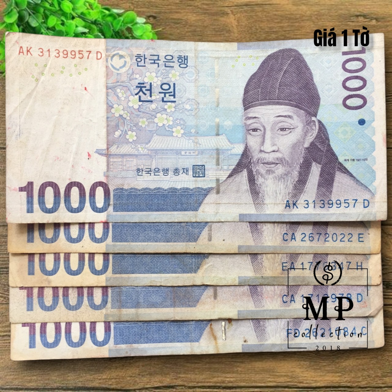 Tờ tiền Hàn Quốc mệnh giá 1000 won Cũ - Tặng túi nilon bảo quản Hàng chuẩn thật