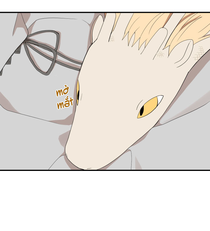 đường hoa liên kiều rơi chapter 20 73