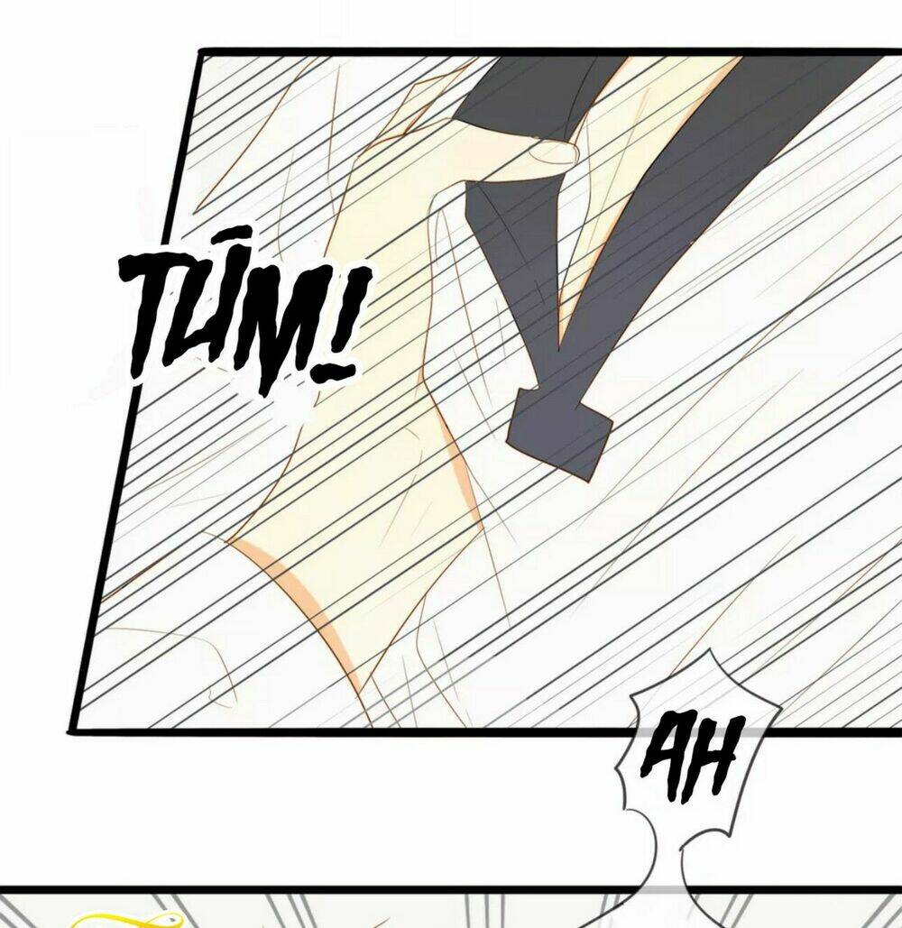 điều giáo quan hệ chapter 13 22