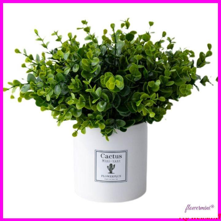 Chậu cây cảnh giả để bàn trang trí nhiều mẫu, cây vạn niên thanh decor nhà hàng xanh mát Flowermini CC-05