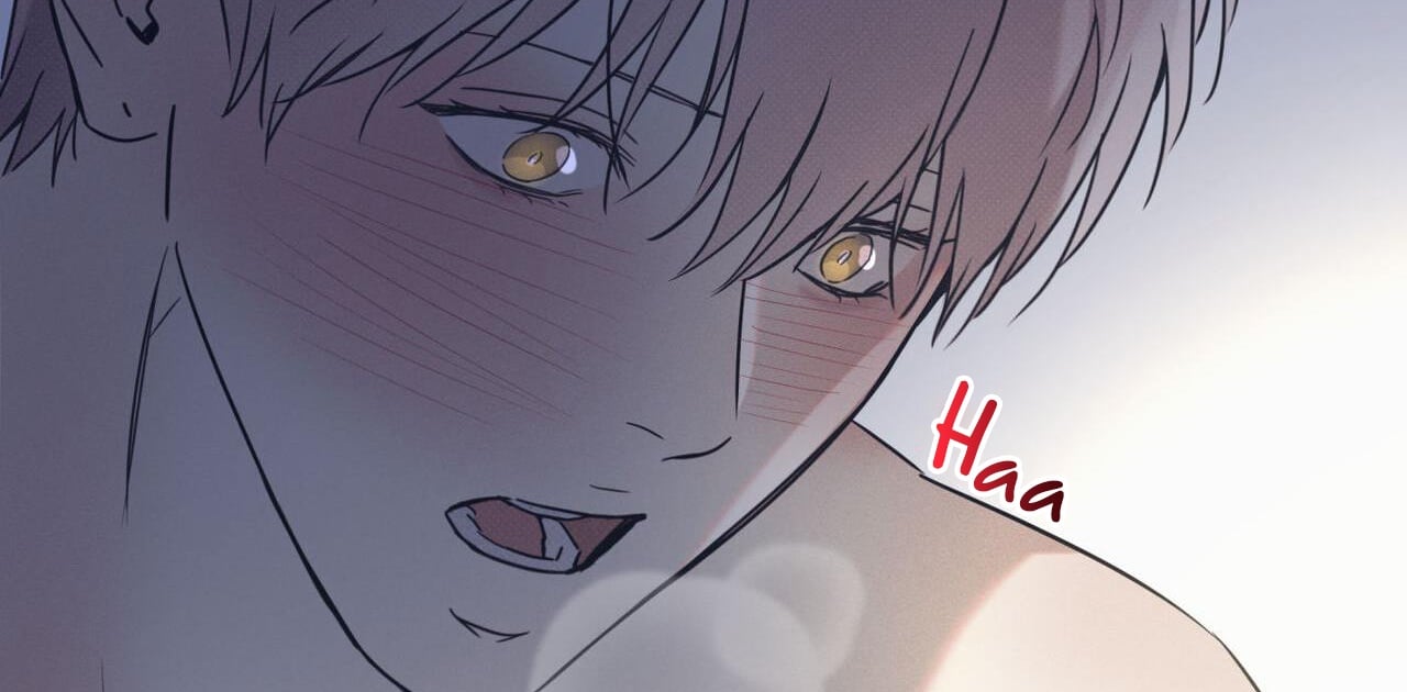 dải hợp âm trên đại dương xanh chapter 42 168