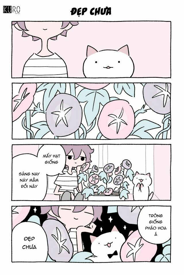 chú mèo kỳ diệu kyuu-chan chapter 145 2