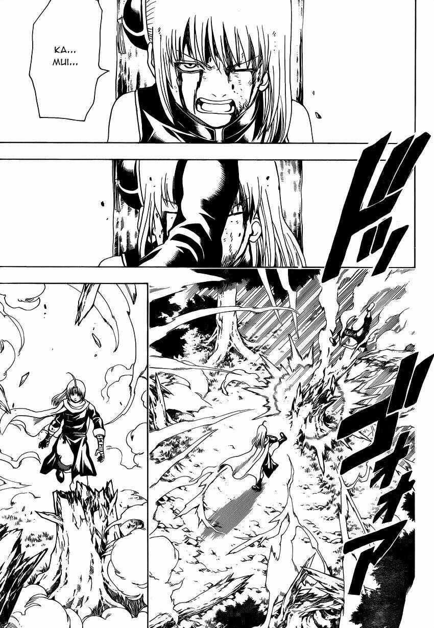 gintama - linh hồn bạc chapter 521 4