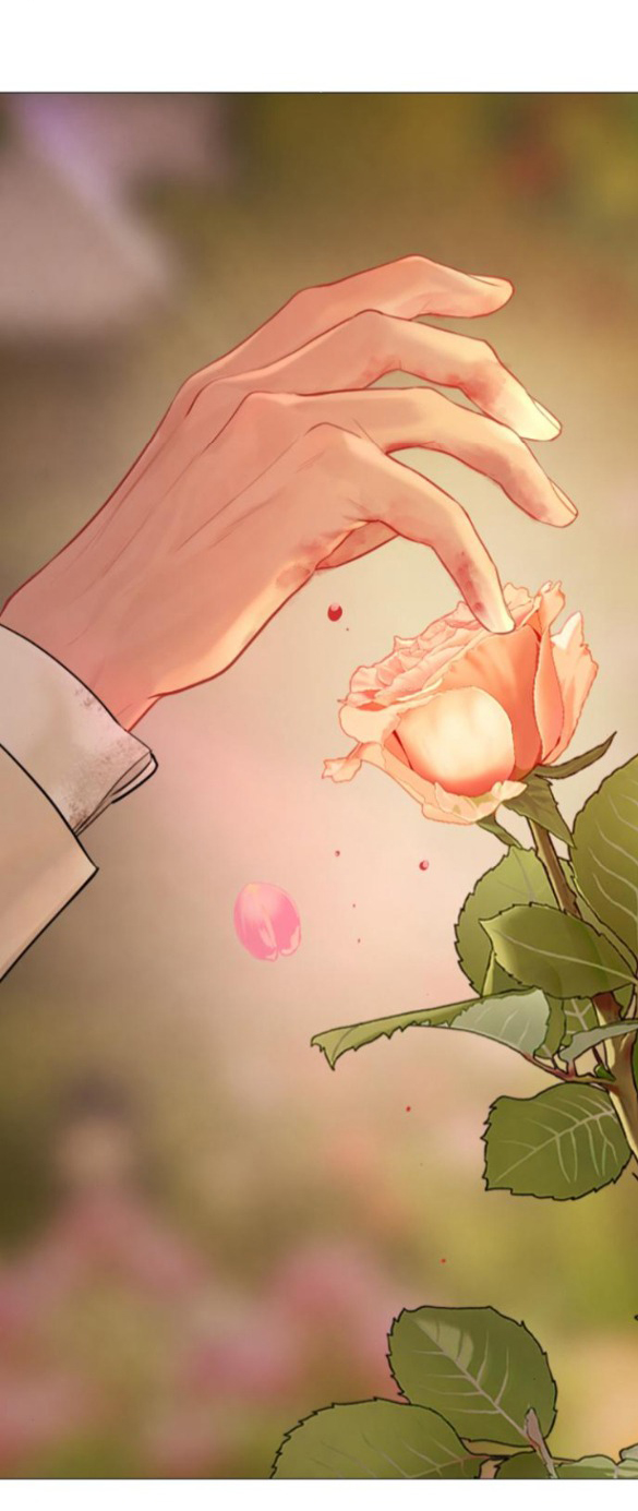 khóc đi hay là cầu xin tôi cũng được chapter 34.1 24