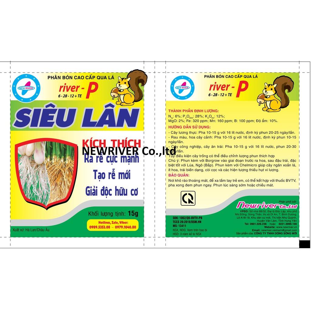 SIÊU LÂN - Kích ra rễ mới