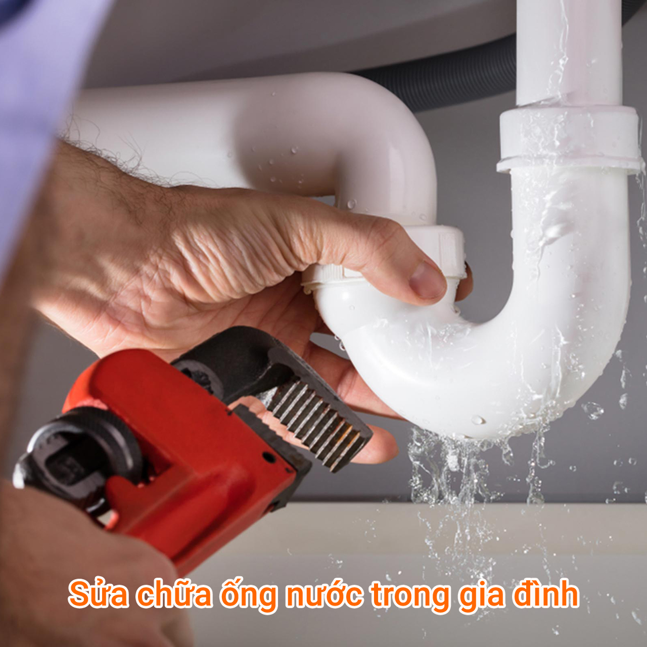 Kìm nước 12 inch