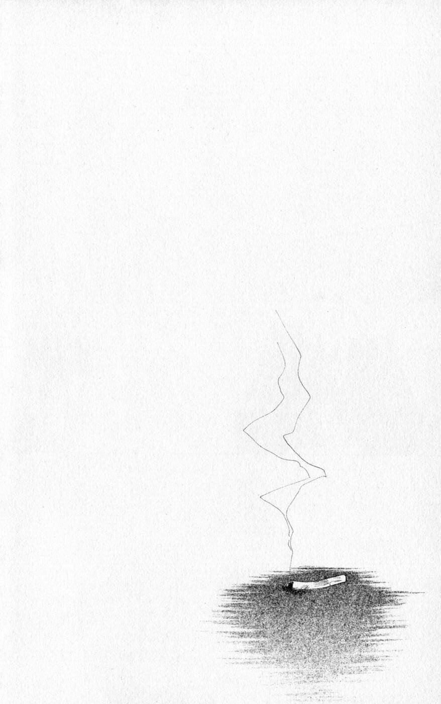 penguin revolution chapter 19 33