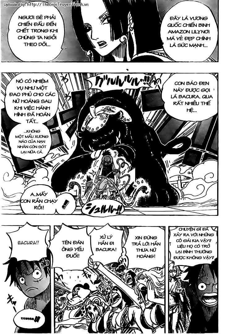 đảo hải tặc - one piece chapter 518 13