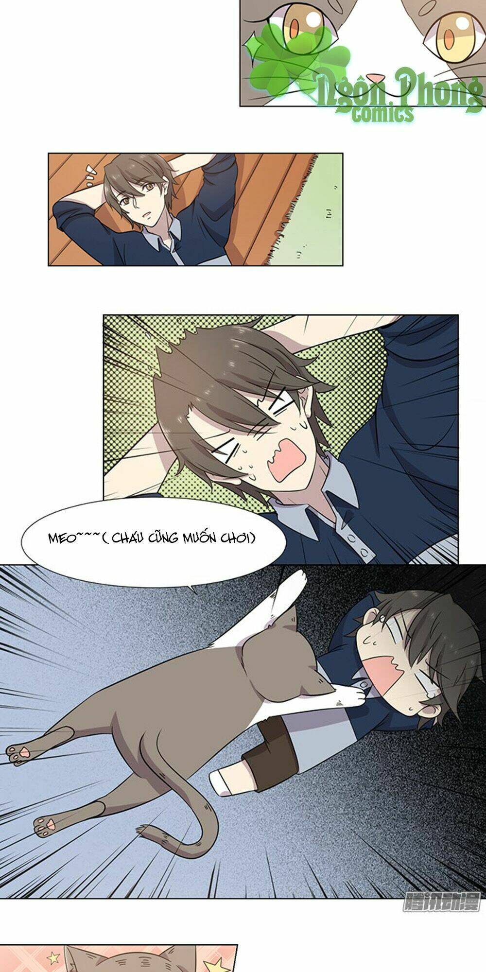 hai chú mèo totem chapter 31 9