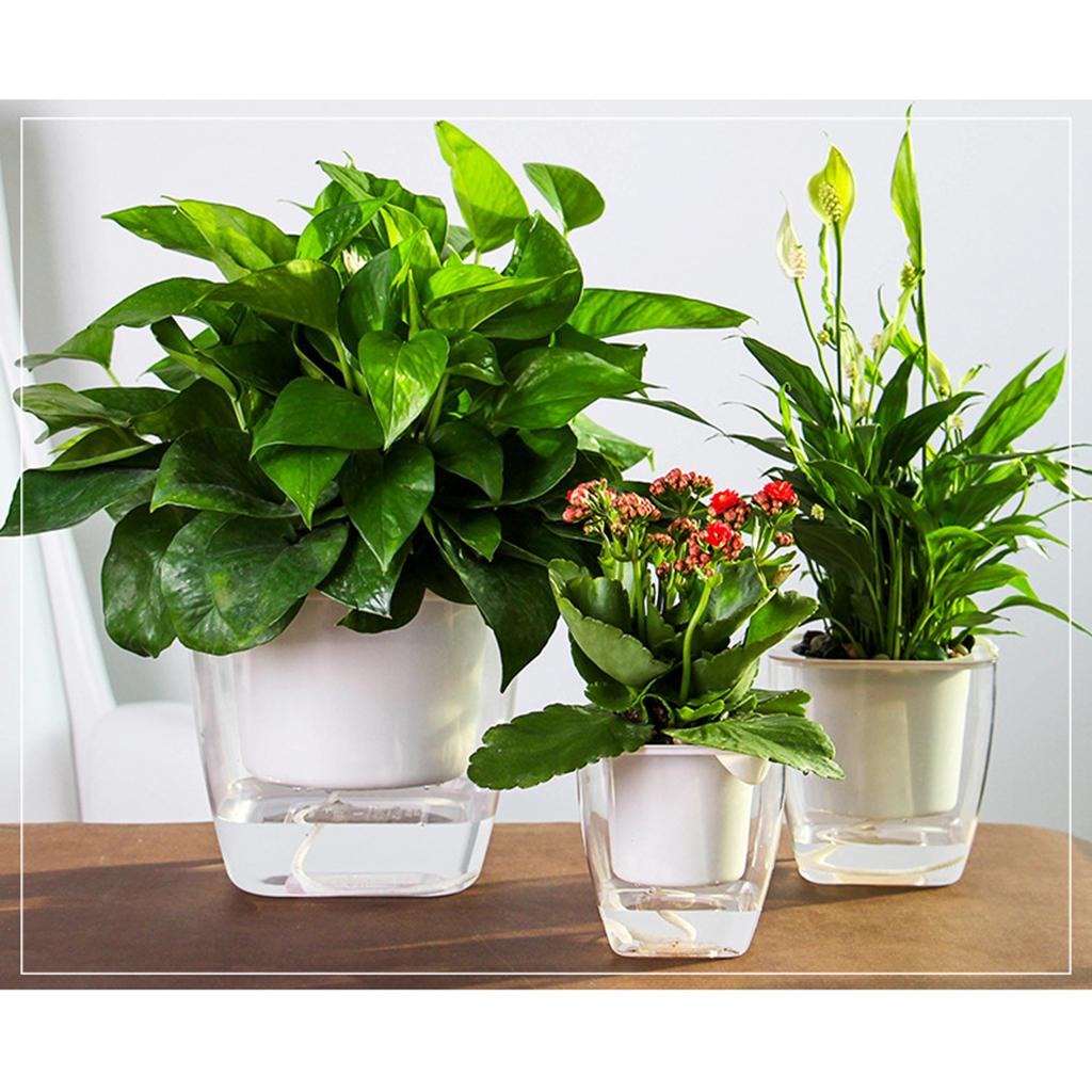 Transparent Flower Self-watering Planter Flower Basket