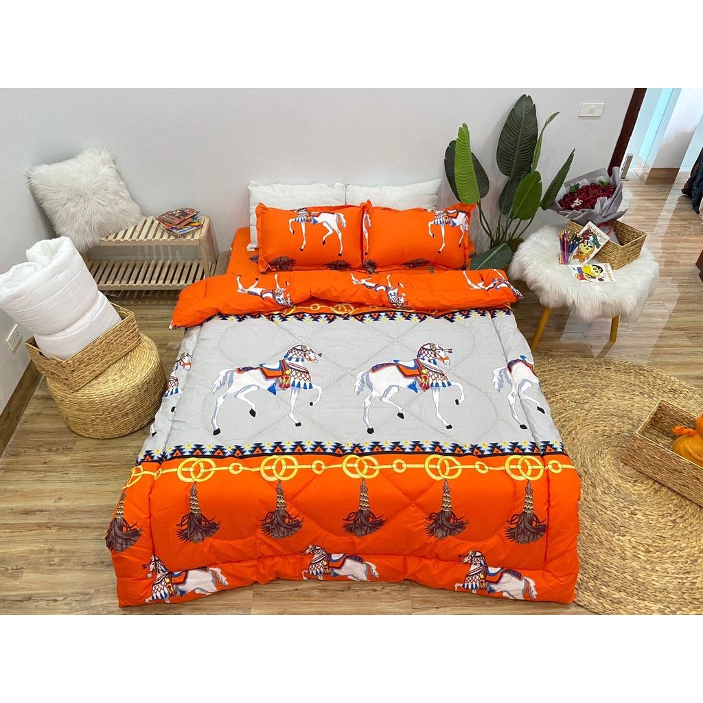 Set phao 5 món siêu rẻ
