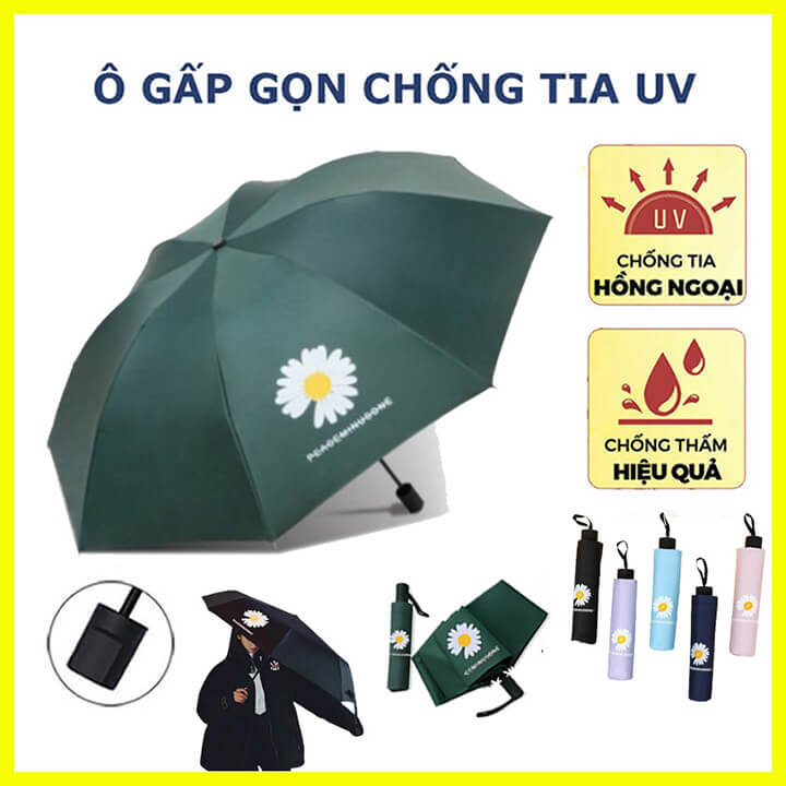 Ô dù che mưa che nắng 2 lớp phủ chống tia UV họa tiết Cúc Họa Mi phong cách Hàn Quốc, Ô che mưa che nắng 8 nan khung chắc chắn - HC