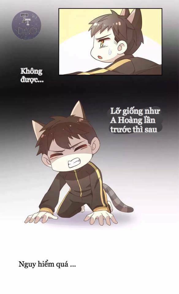 thị hoang chi thần chapter 19 21