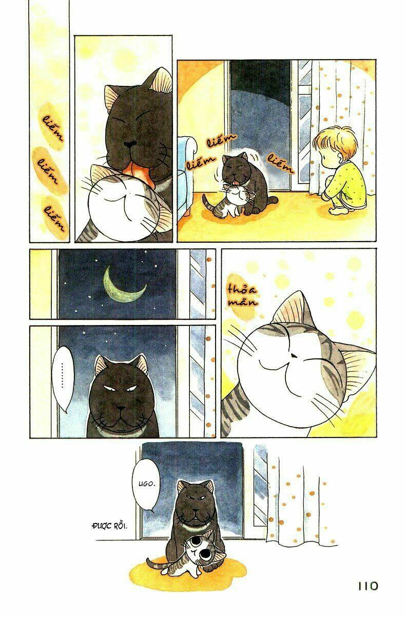 chi's sweet home chapter 52 7