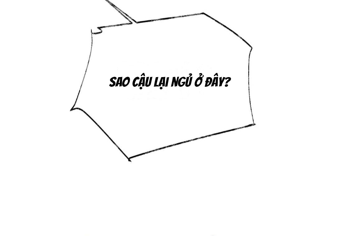 xin hãy ly hôn chapter 90 6