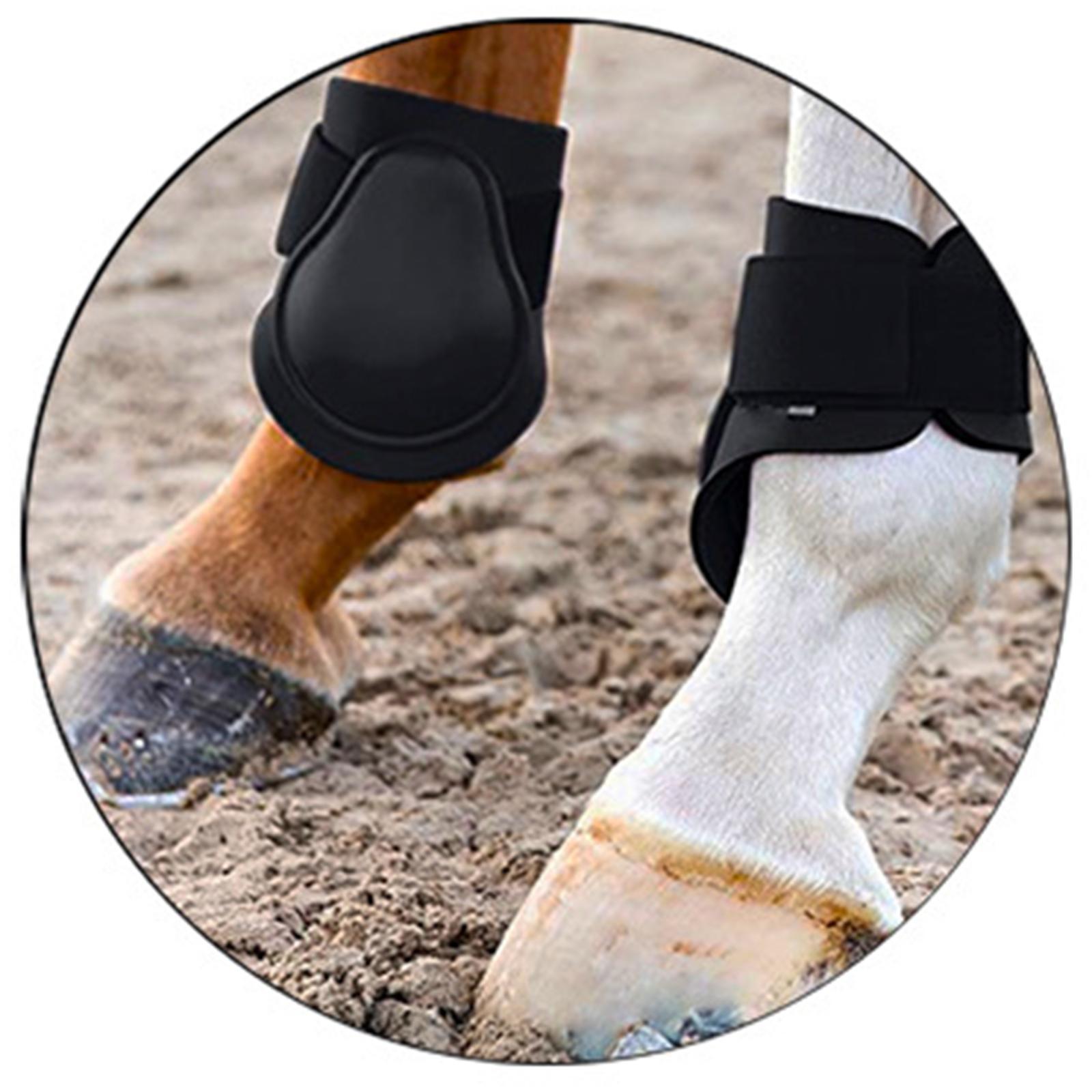 Horse Tendon Fetlock Boots Set Jumping Leg Protection Boots
