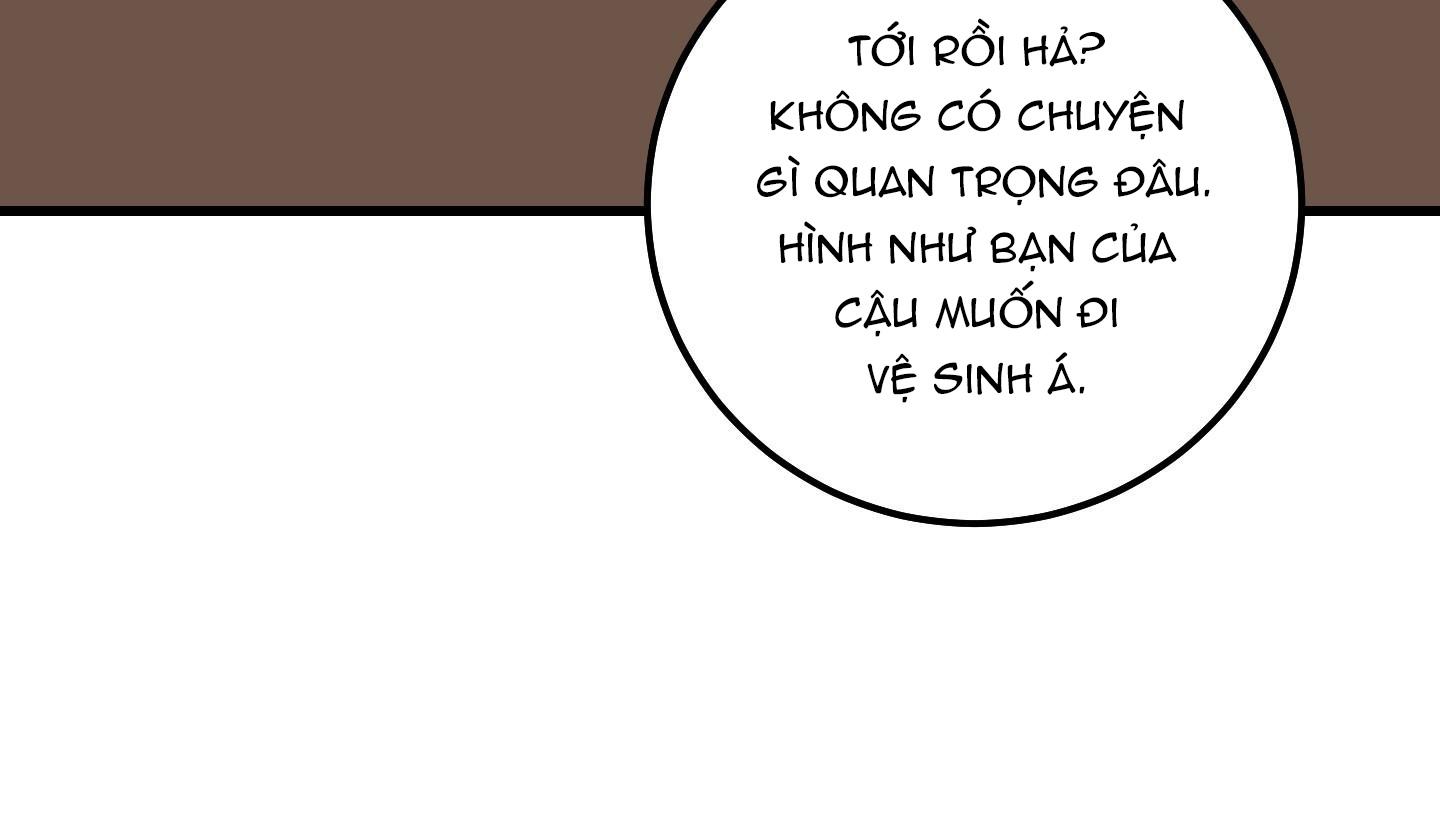 yêu tôi đi, thần hộ mệnh chapter 11 64