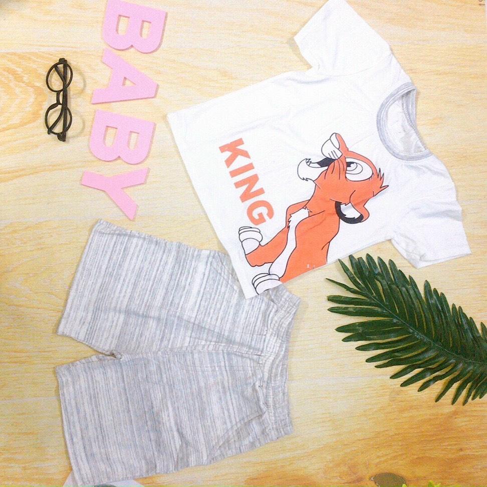 Bộ mặc nhà bé trai Bo012