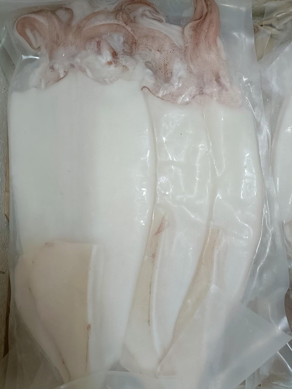 Mực 1 nắng