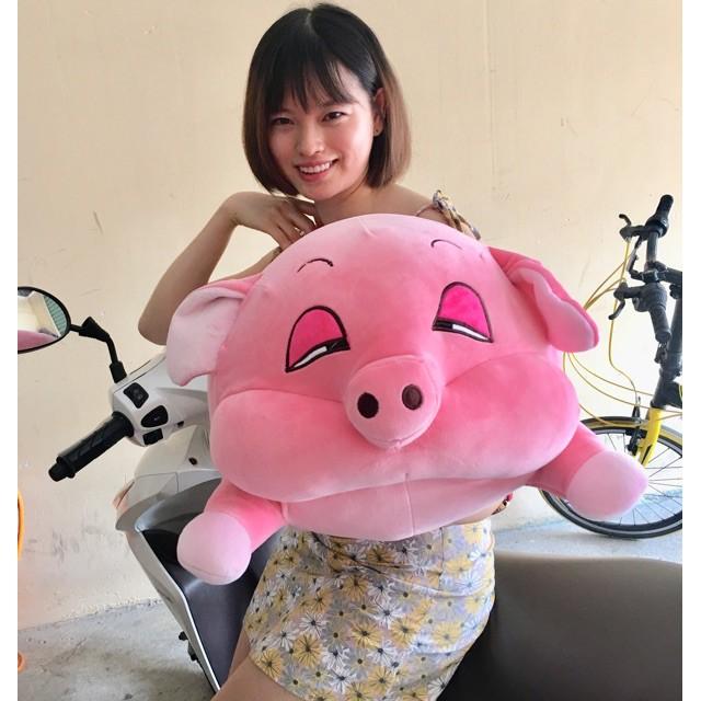 HEO PHÊ CẦN, HEO MẮT HÍP