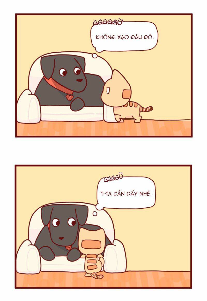 saphie: chú mèo một mắt chapter 15 4