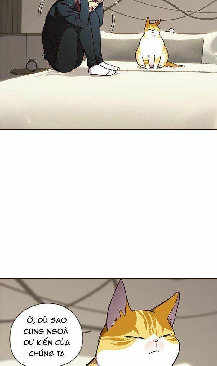 biến thân thành mèo chapter 82 7