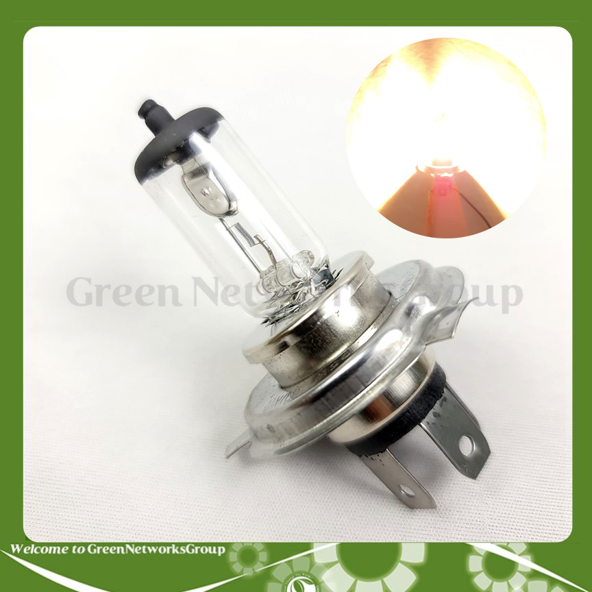 Bóng đèn pha Halogen Sun Shing chân H4 12V 35/35W Green Networks Group