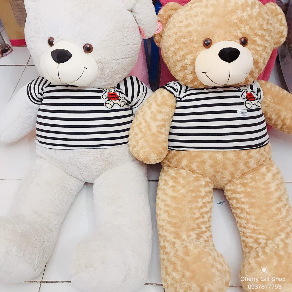 Gấu Bông Teddy Cao Cấp Giá Sốc 1m4 Ảnh Shop Chụp