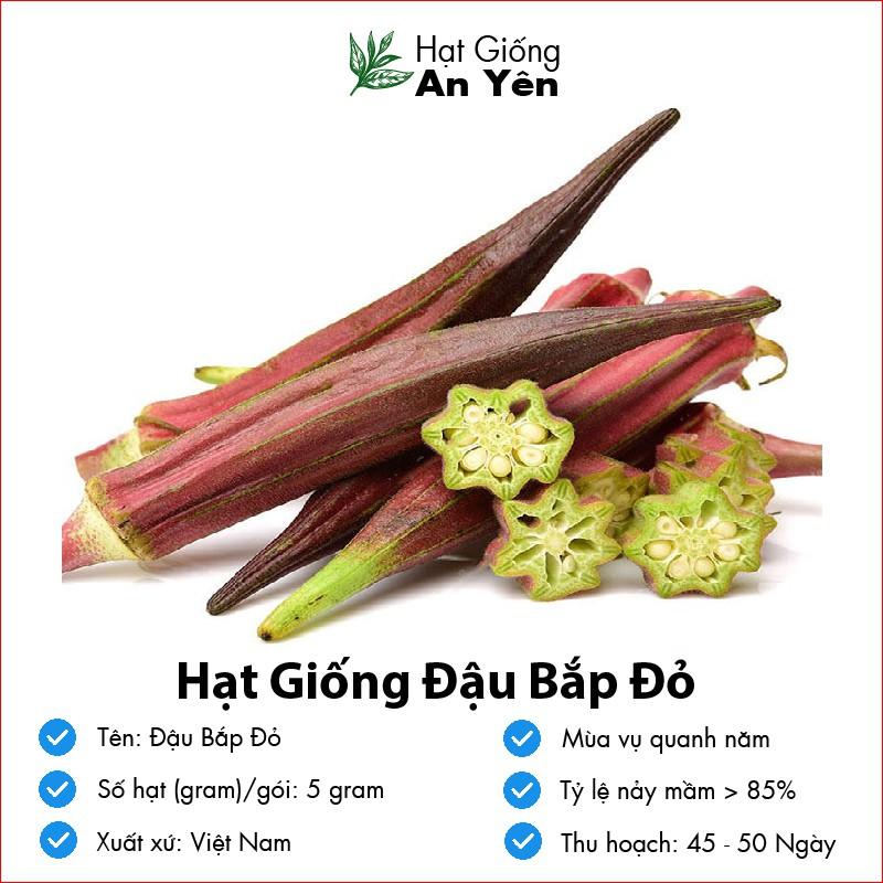 Hạt giống Đậu Bắp Đỏ thu hoạch sớm, dễ trồng, nảy mầm cao, sinh trưởng khoẻ