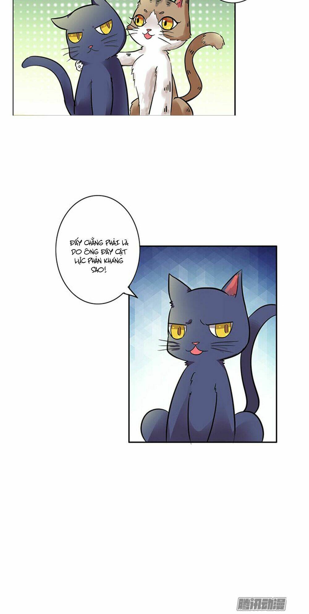 hai chú mèo totem chapter 6 12