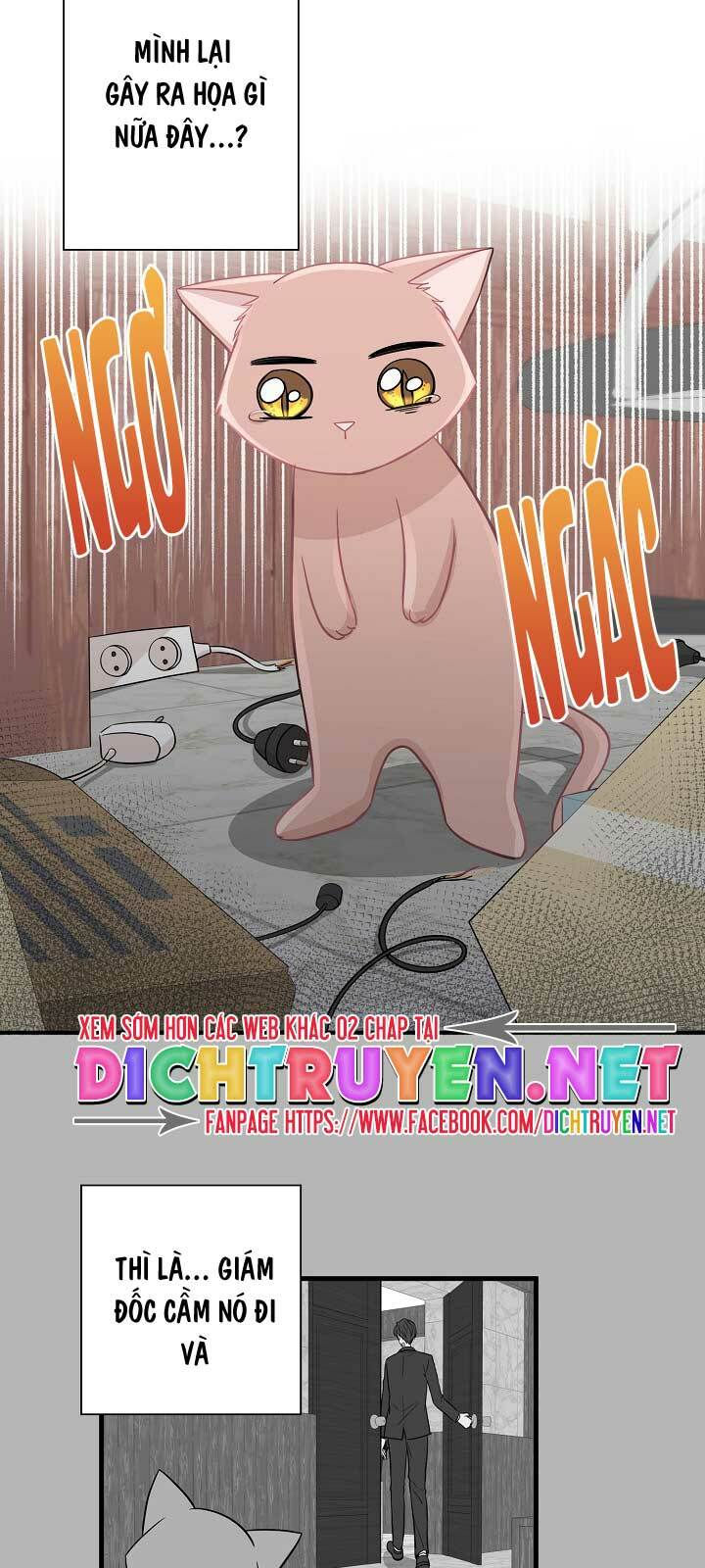 cuộc sống kỳ thú chapter 11 22