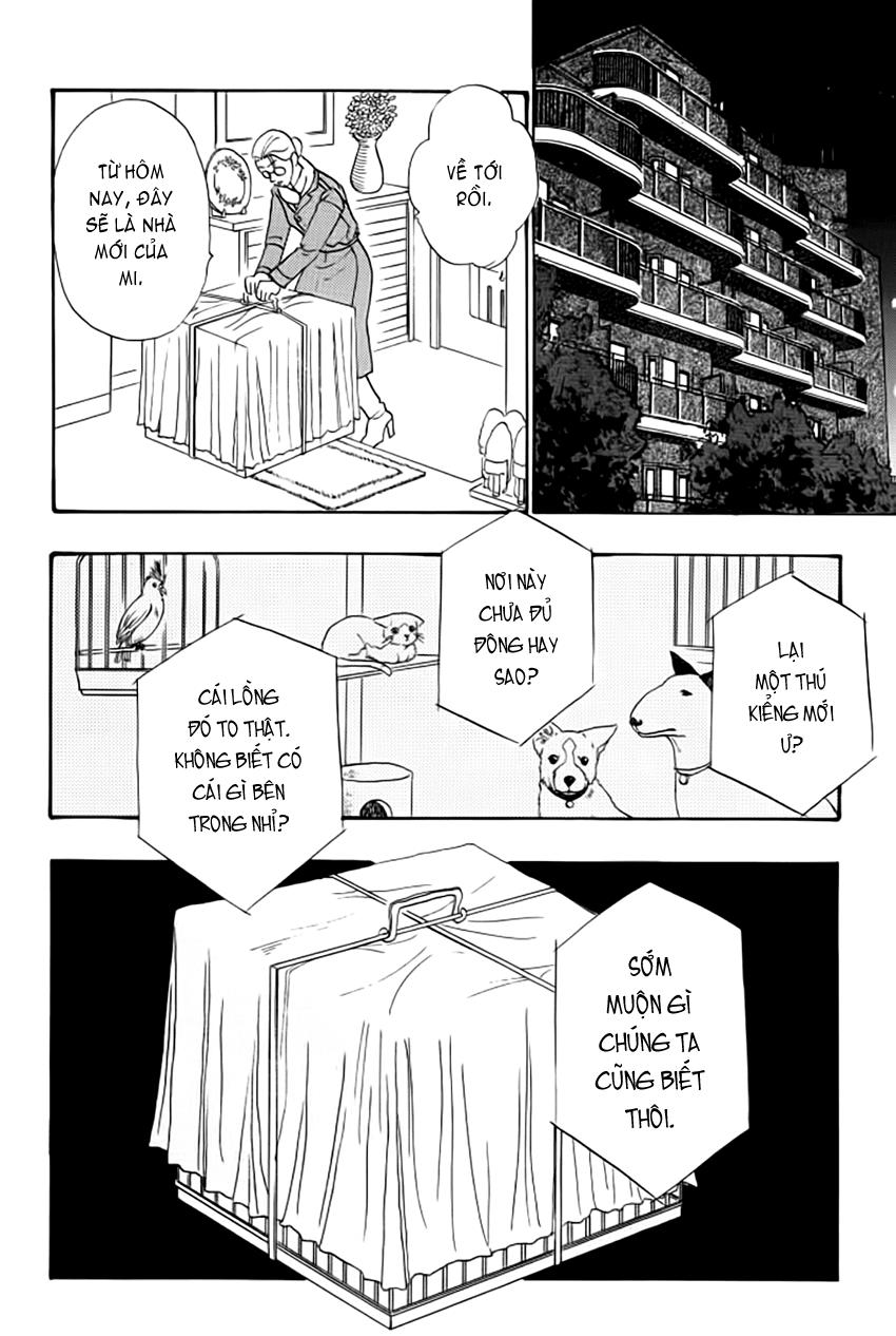 new pet shop of horror chapter 14 31