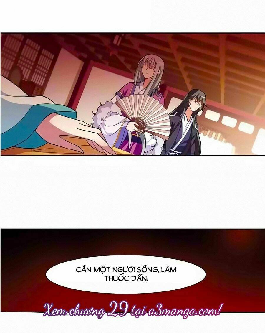 toàn cơ từ chapter 28 24