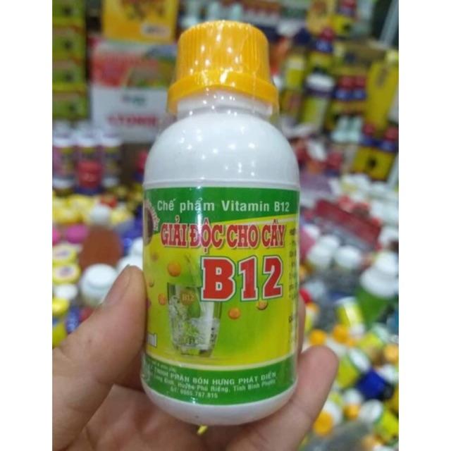 Vitamin B12 cho lan, cây cảnh - Giải độc cây, Tái tạo tế bào mới