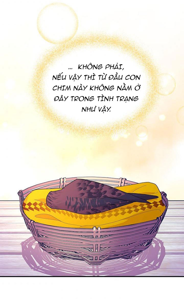 công chúa của loài chim chapter 38.2 12