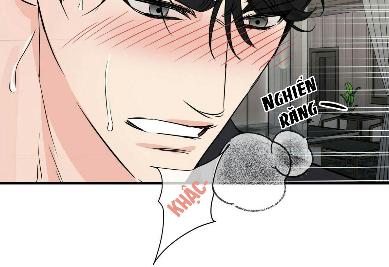 dấu vết không mùi chapter 28 15