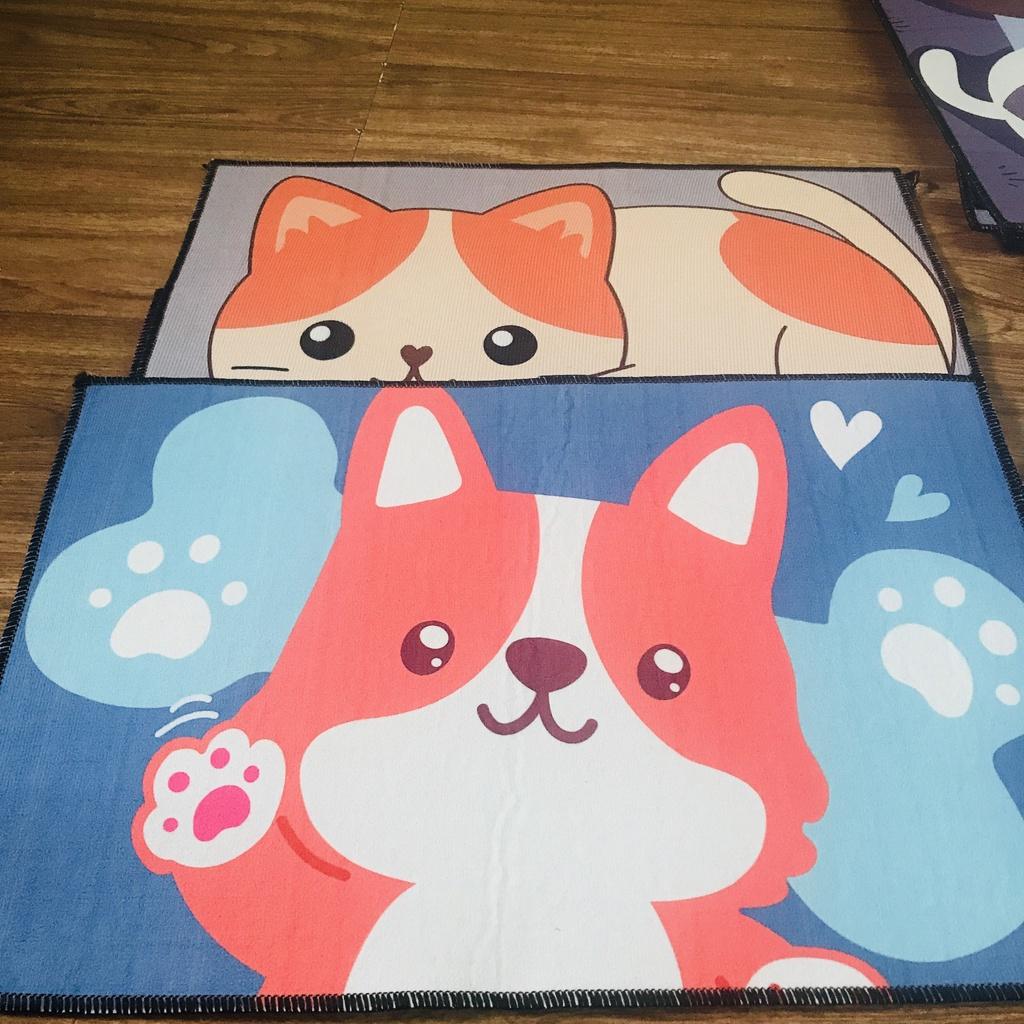 Thảm chùi chân, thảm lau chân, thảm lót chân, thảm hình thú thấm hút