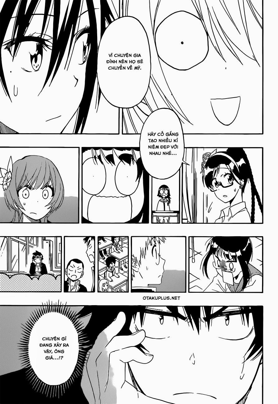 nisekoi - tình yêu giả tạo chapter 157 4