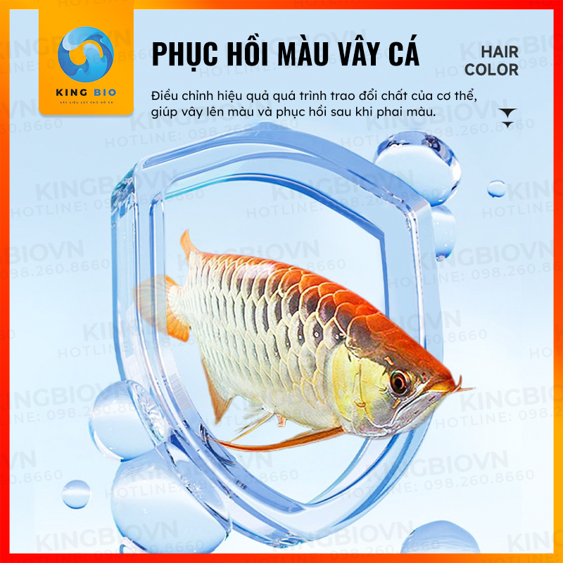 Vitamin tổng hợp Yee Vitamin Amino Acids hỗ trợ tiêu hóa, tăng sức đề kháng, giảm stress cho cá cảnh