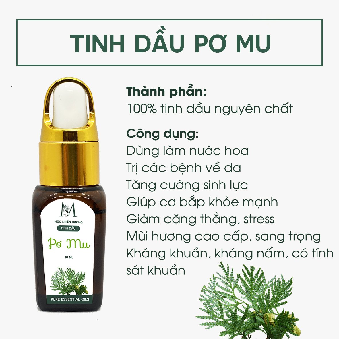 Tinh Dầu Treo Xe, Tủ Quần Áo, Nhà Vệ Sinh Mộc Nhiên Hương 8ml - Tự chọn 18 mùi - Chống say xe - Kháng khuẩn - Khử mùi hôi - Đuổi muỗi - Côn trùng - Hương thơm thư giãn