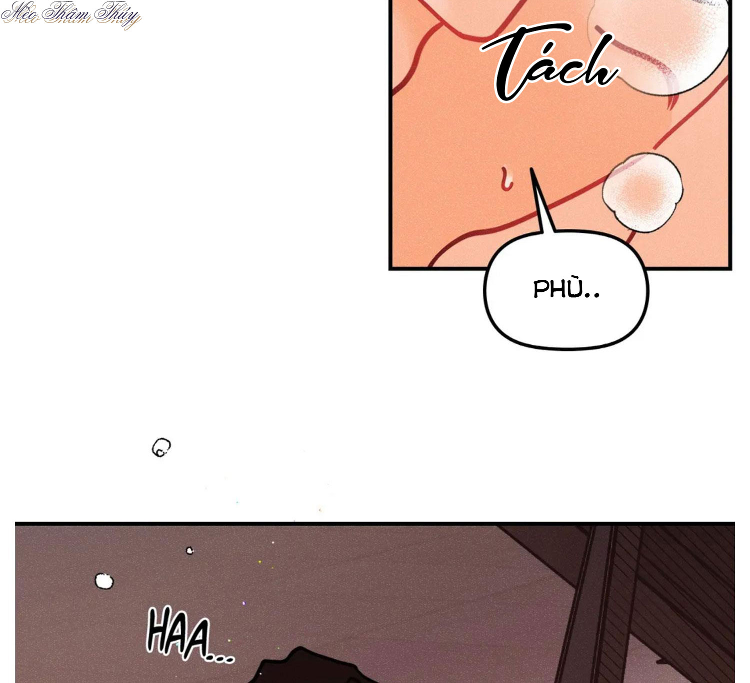 punk dunk funk chapter 43 3