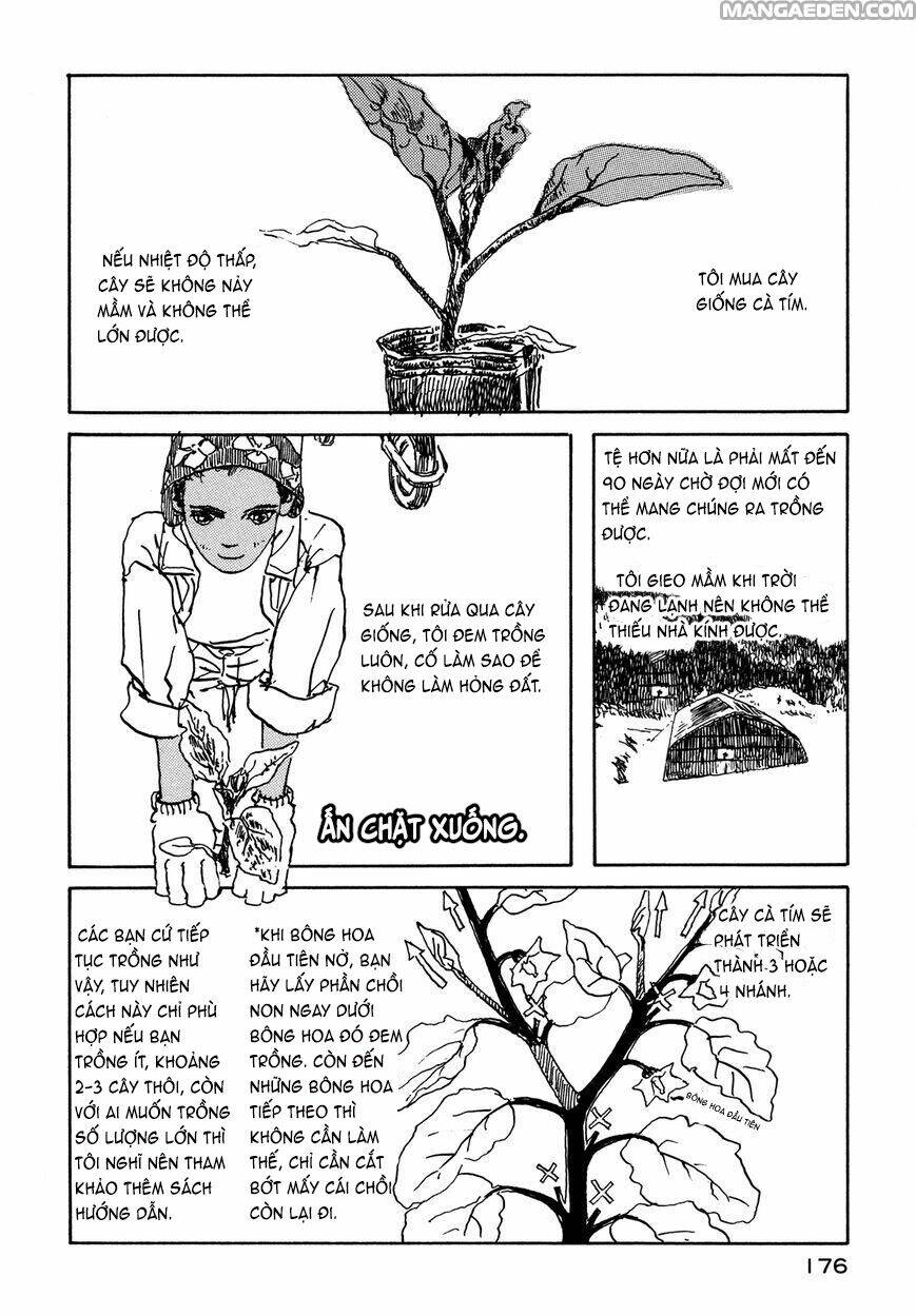 little forest chapter 33.5 6