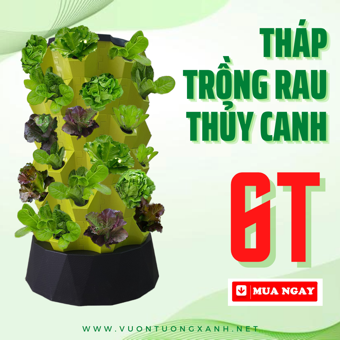 THÁP TRỒNG RAU THỦY CANH THÔNG MINH GREEN KONOHA - 6 TẦNG